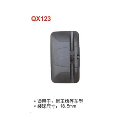 QX123  新王牌等车型